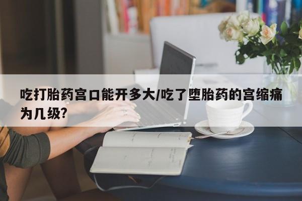 堕胎药购买方式吃打胎药宫口能开多大/吃了堕胎药的宫缩痛为几级?