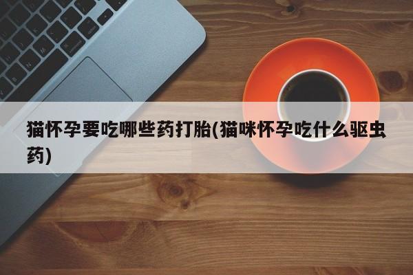 堕胎药购买方式猫怀孕要吃哪些药打胎(猫咪怀孕吃什么驱虫药)
